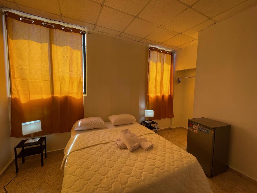 圣多明各Hotel Colonial Blanco的一间卧室配有一张床,床上有毛巾