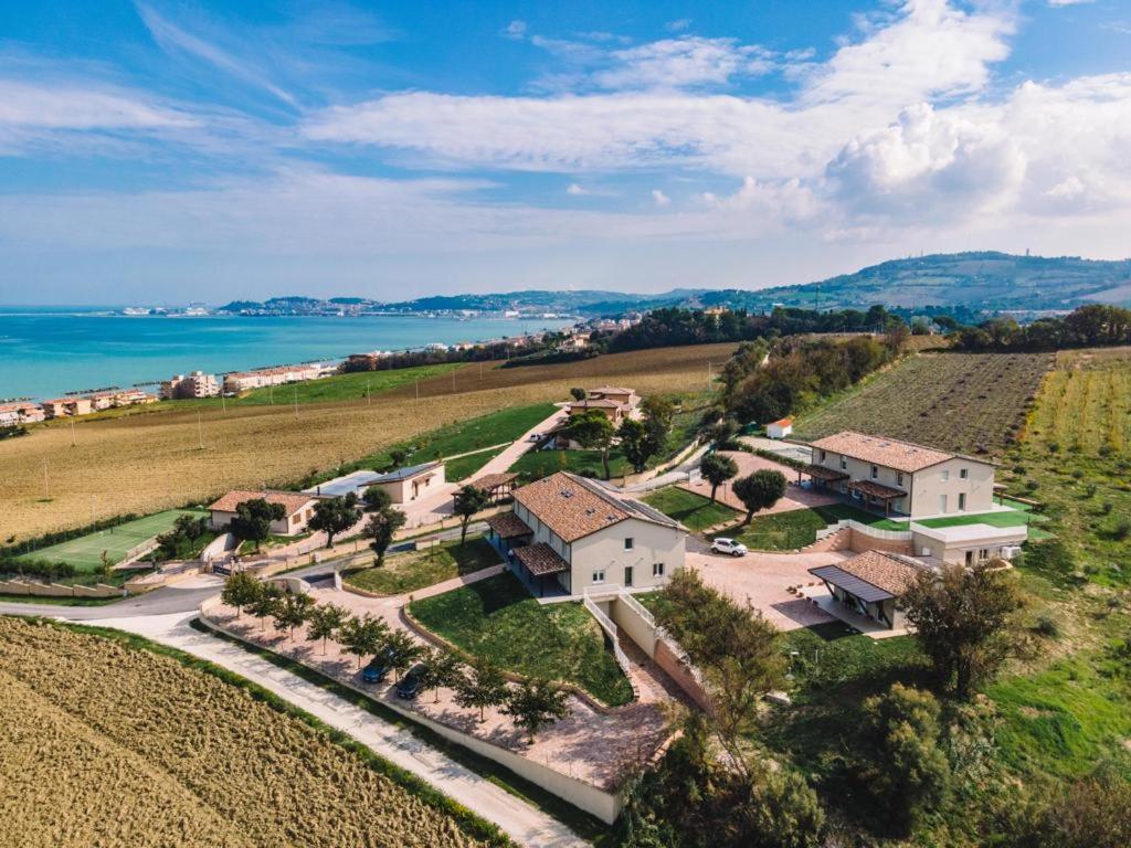 安科纳Agriturismo Il Colle Dei Lecci的葡萄园内房屋的空中景观