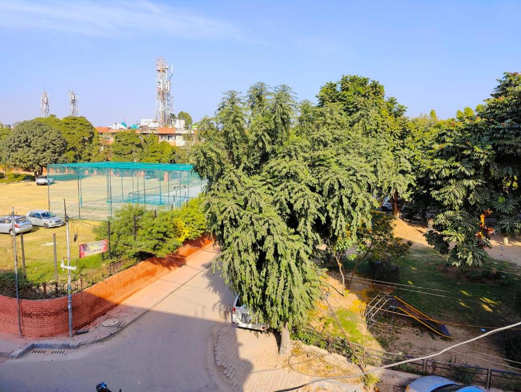 钱德加尔Chandigarh home的公园的顶部景色,有一棵大树