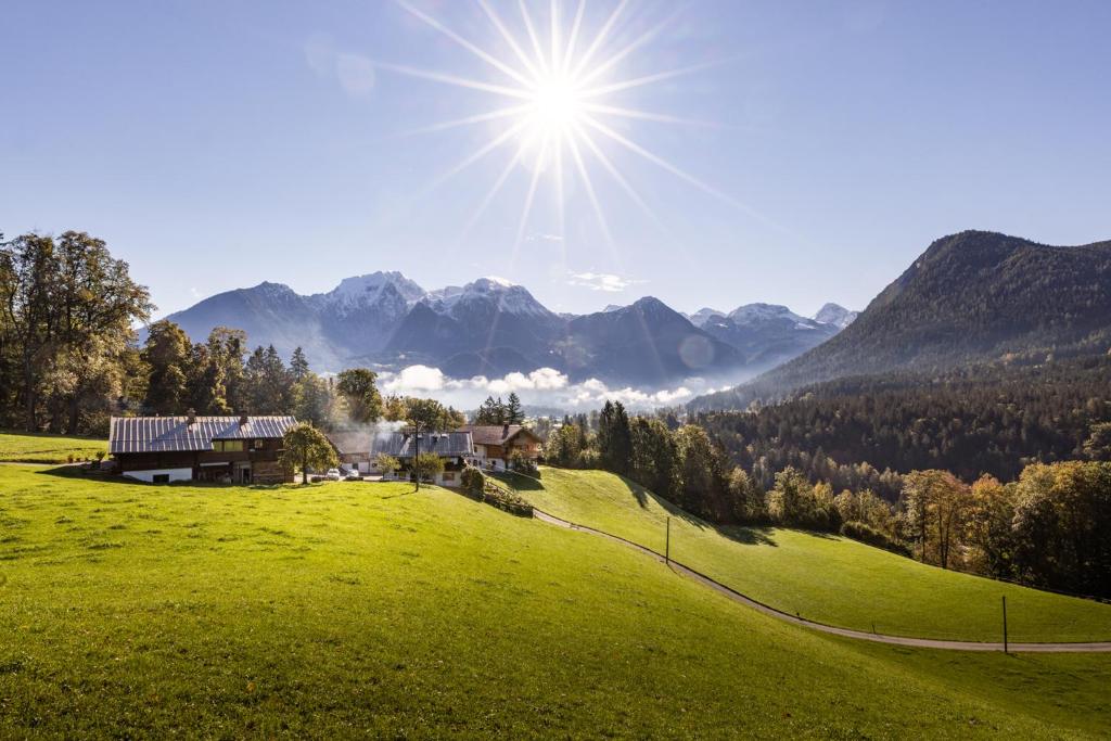 比绍夫斯维森Bergbauernhof Schoberlehen的绿色的田野,有房子和山地背景