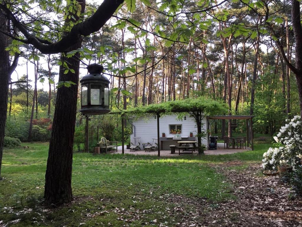 LilleTranquil bungalow in Lille with garden的后院,树上有一扇棚子和一盏灯