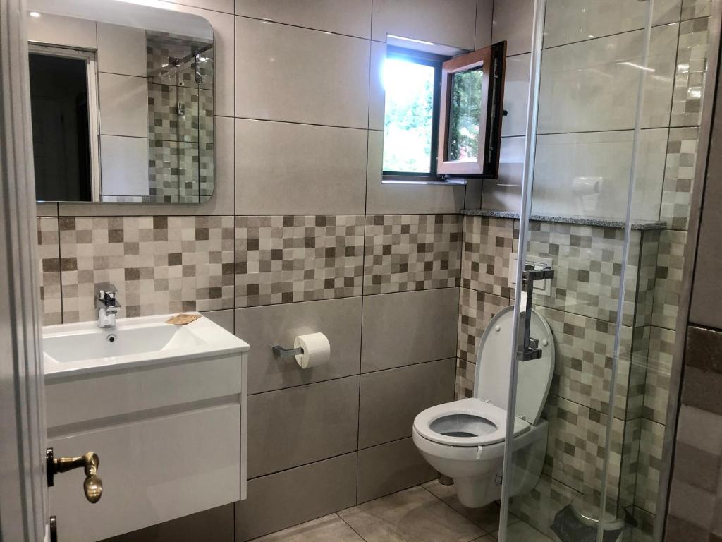 锡纳亚BUCEGI VIEW APARTAMENT的一间带卫生间和水槽的浴室