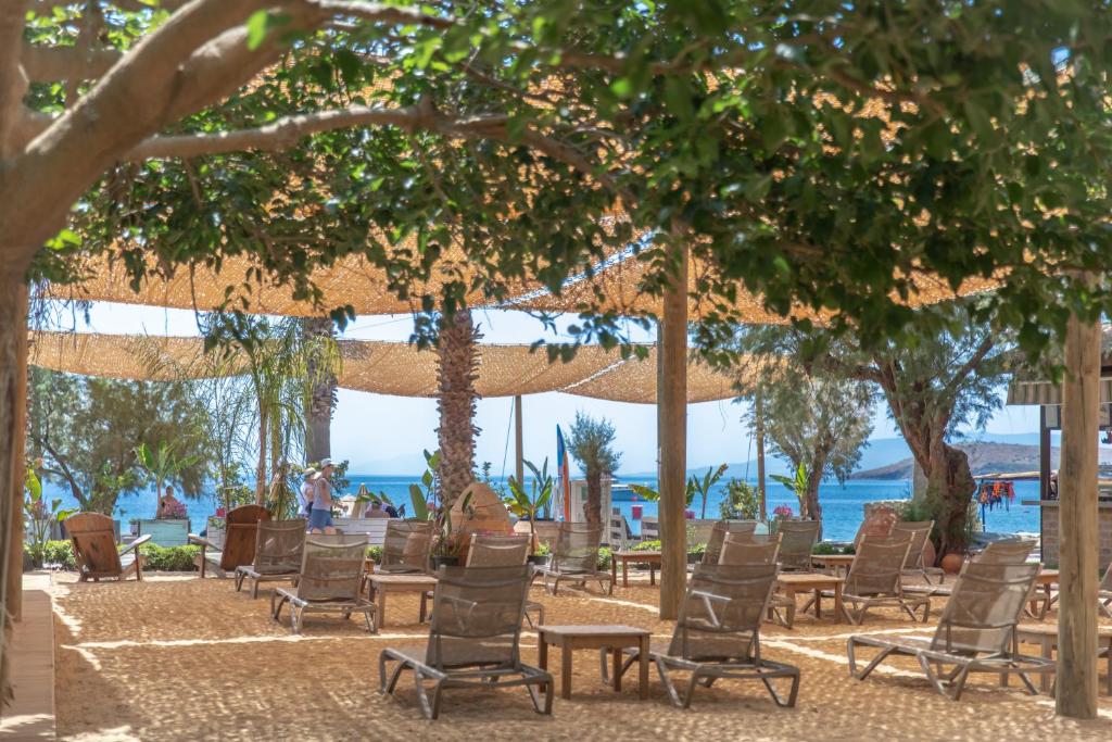 奥塔肯特Kefi Beach & Suites的海滩上的一组椅子和遮阳伞