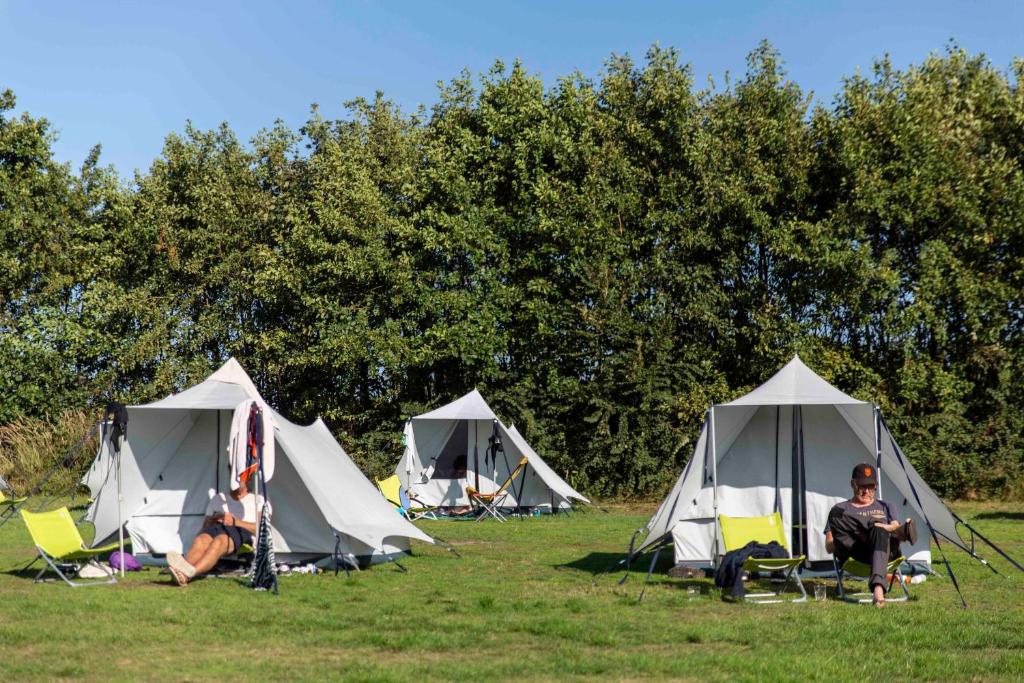 西泰尔斯海灵BlueCAMP Oerol24- Tent&Breakfast的一群帐篷坐在草地上