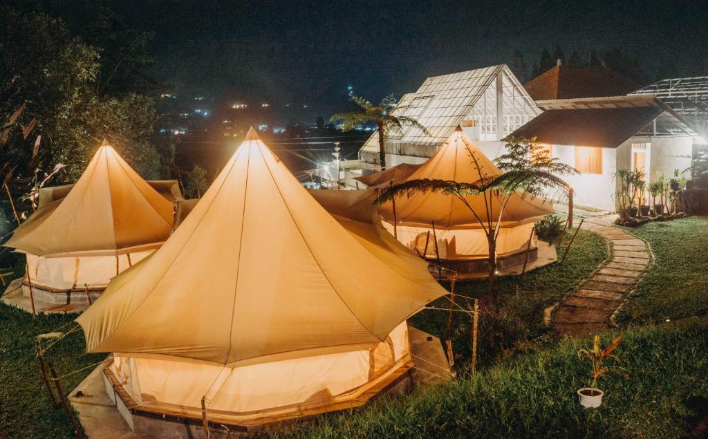 贝都古Alamu Eco Lodge的一群帐篷在晚上坐在草地上