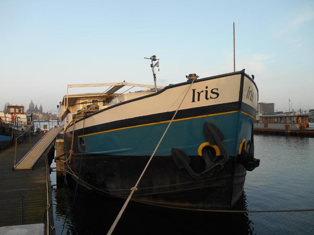 阿姆斯特丹爱丽丝船屋的停泊在水面码头的船只