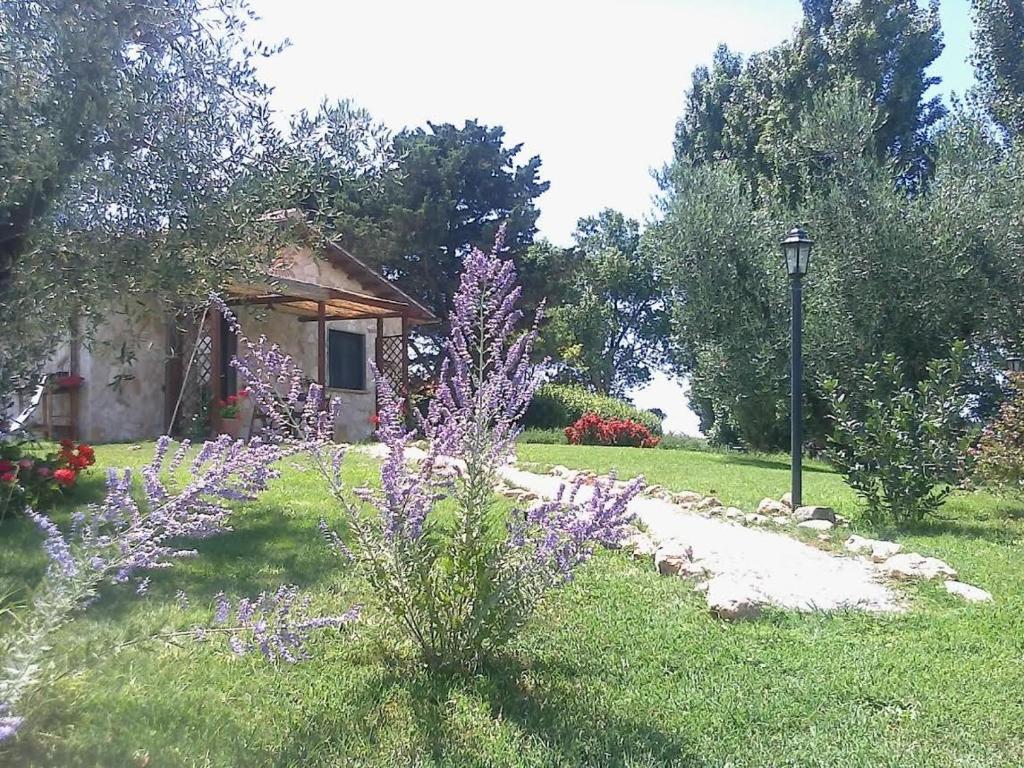 塔尔奎尼亚Casale Dinelli的一座花园,在房子前面种有紫色的花朵