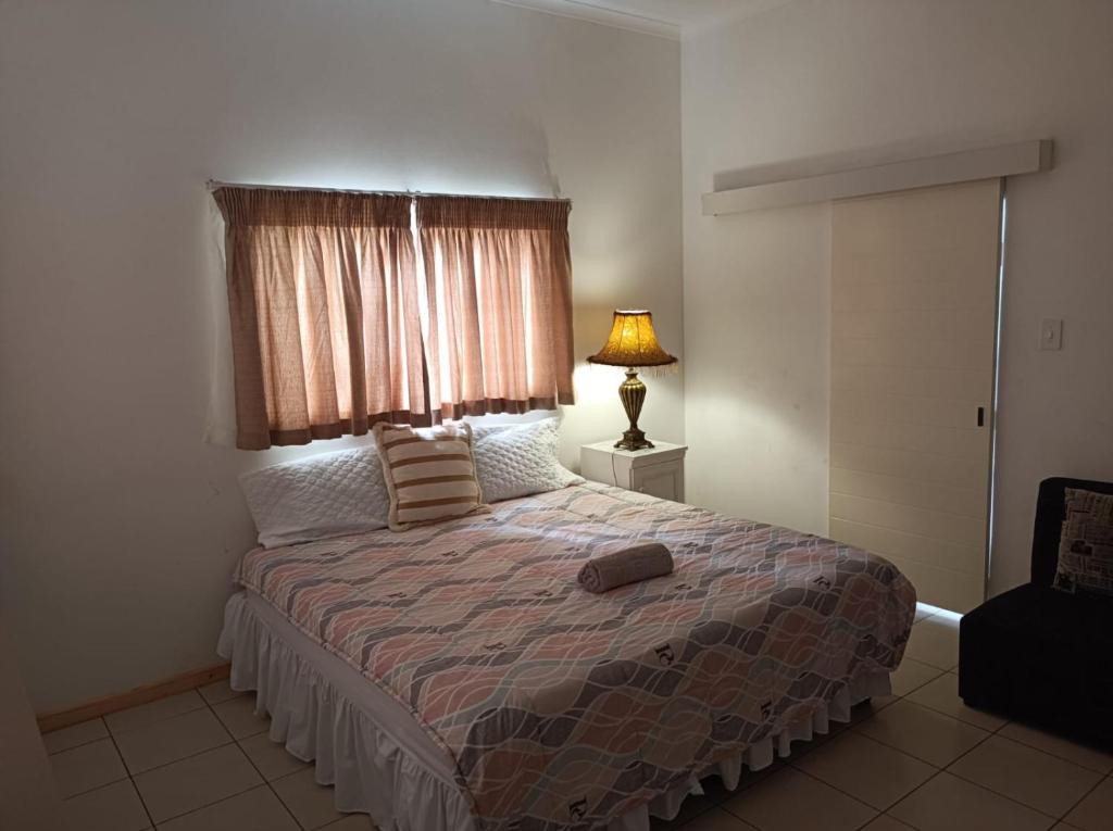 彼得马里茨堡Danodeb Lodge的一间卧室配有一张带灯和窗户的床