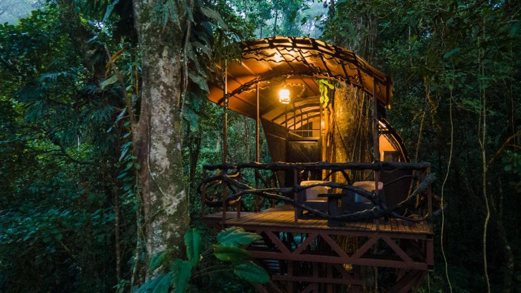 Boca Tapada玛奎恩克生态旅馆的森林中的一个树屋