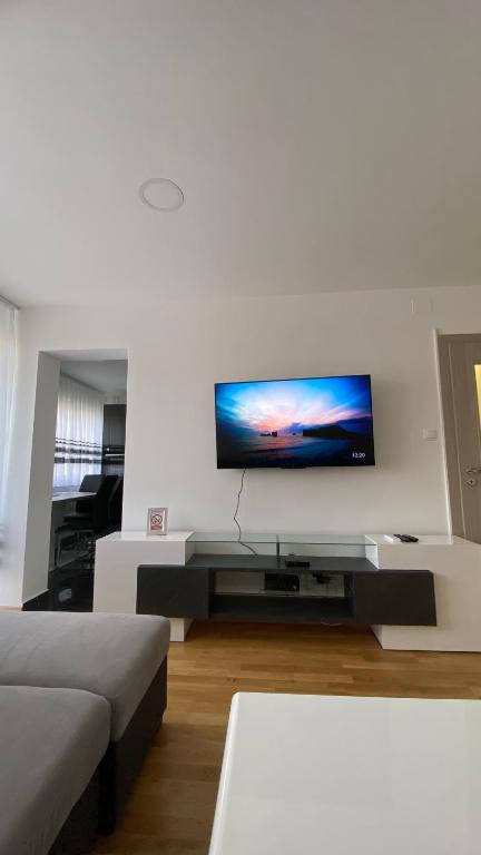 卡尔洛瓦茨M.B.A. APARTMENTS的客厅设有壁挂式平面电视。