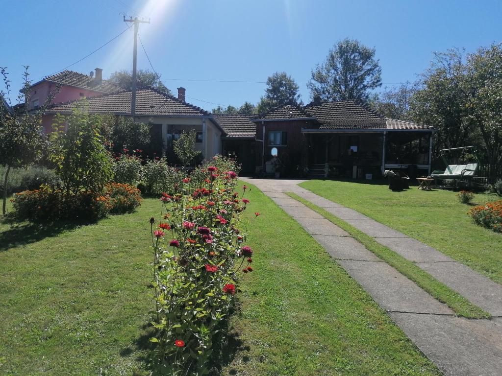 BabušnicaMarkov konak的有一排玫瑰花在院子里,有房子