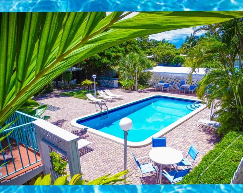 劳德代尔堡绿岛酒店的享有带桌椅的游泳池的顶部景致