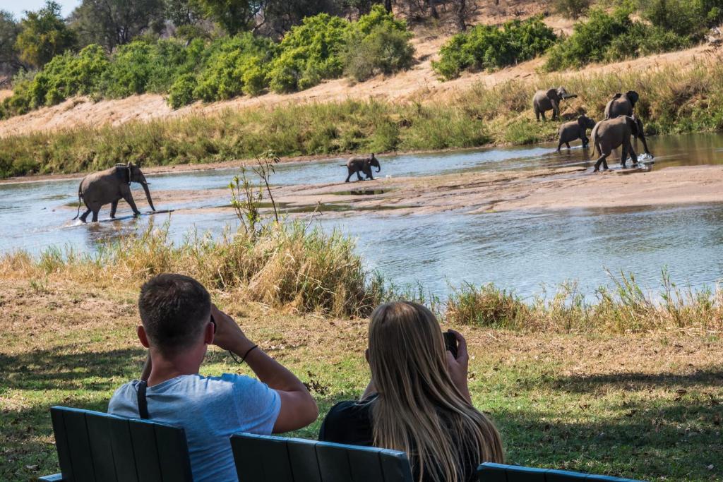 巴卢莱自然保护区Maninghi Lodge的一对夫妇看着大象越过河