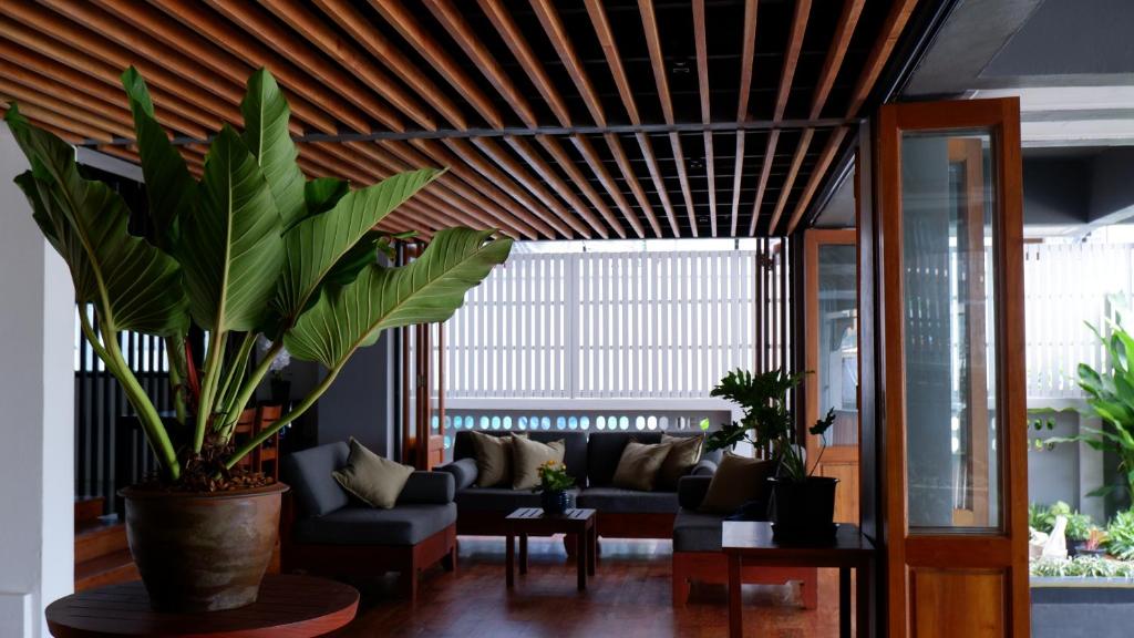 董里Nara Residence Trang的带沙发和一些植物的客厅