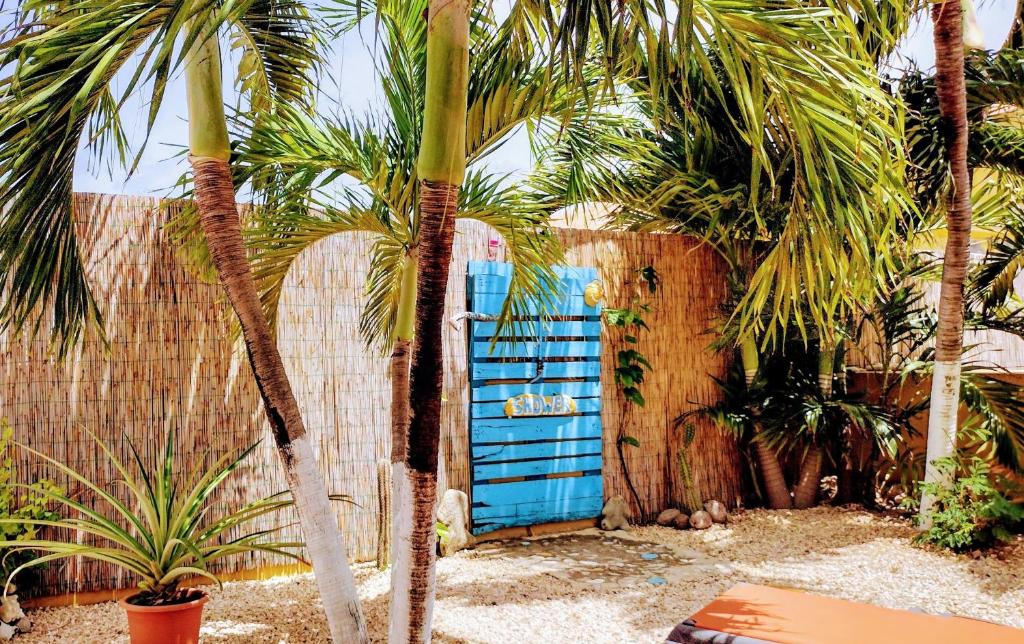 克拉伦代克Barefoot Bonaire的棕榈树围栏中的蓝色门