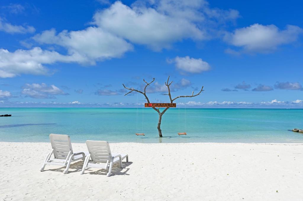 GaafaruNiru Isle Maldives的海滩上的两把椅子,水里有一棵树