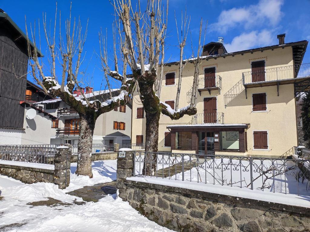 阿贝托内Appartamento Belvedere Abetone的雪中建筑物前面的两棵树
