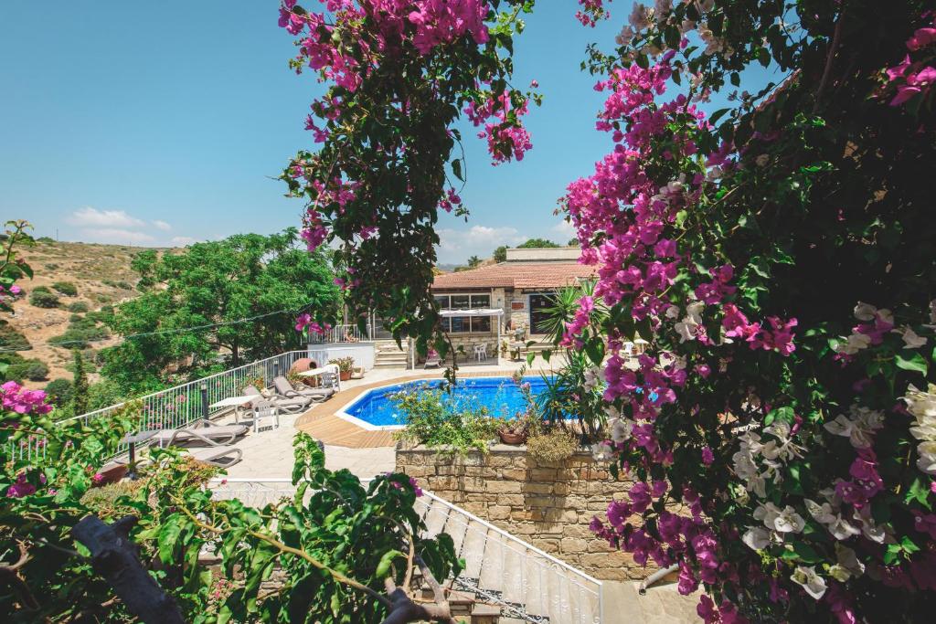 托其Cyprus Villages - Bed & Breakfast - With Access To Pool And Stunning View的一座带游泳池和紫色鲜花的房子