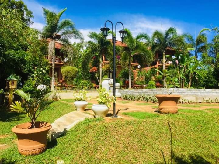 坦加拉鹰巢小屋酒店的花园,里面种有植物,有三个大锅