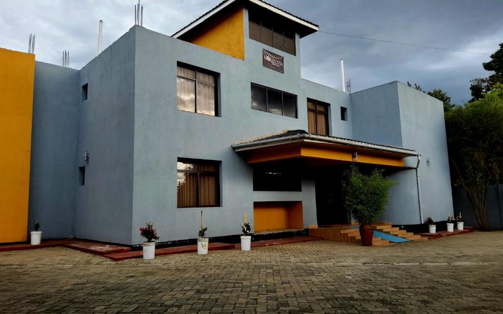 纳库鲁Monrovia Guest House的蓝色和黄色的房子,有很多窗户