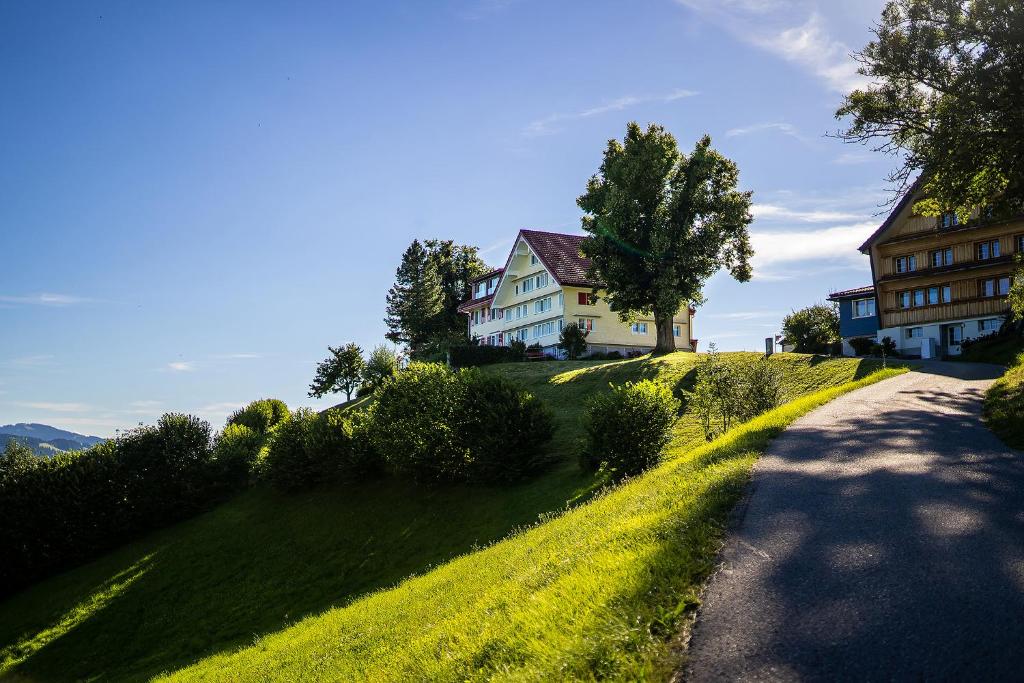 Sankt PeterzellGästehaus Aemisegg的草顶上有路的房子