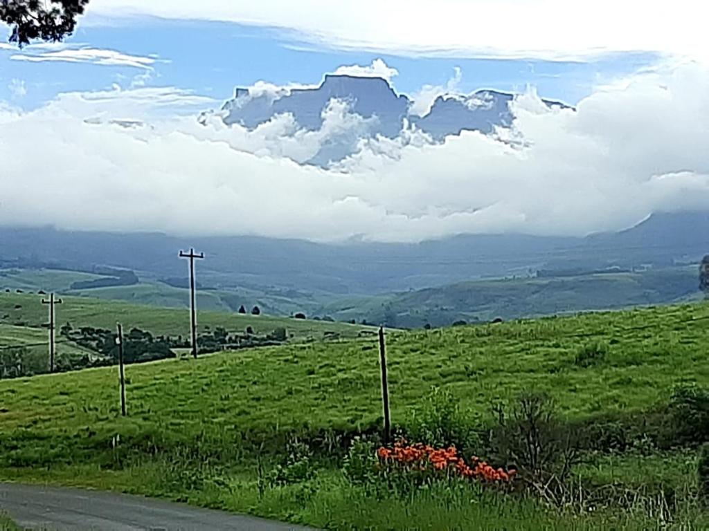 BergviewMisty peaks Cloudlands的享有绿色田野和道路的景色