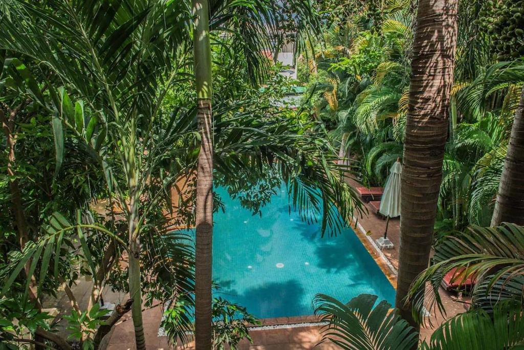 暹粒Marirath Boutique Hotel的享有棕榈树环绕的游泳池的顶部景致