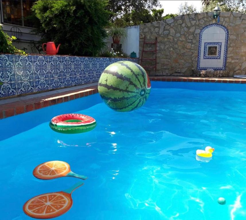 Pero CalvoLovely quinta in nature with pool - Tomar的一个带西瓜和其他水中物品的游泳池