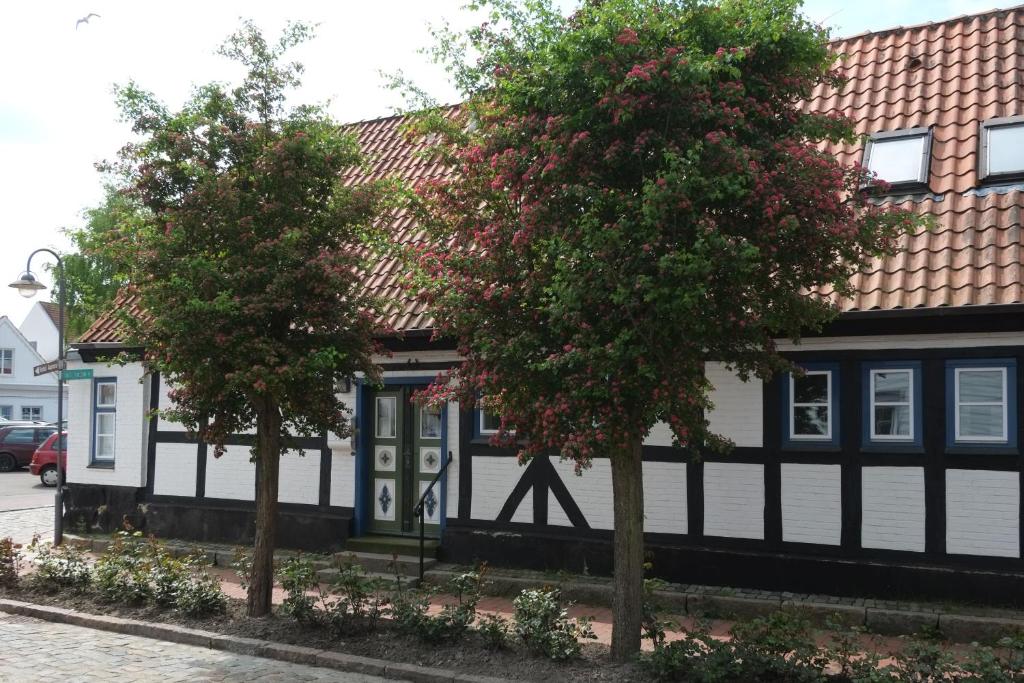 卡珀尔恩Wohnen am Dehnthof Haus 1的前面有两棵树的黑白房子