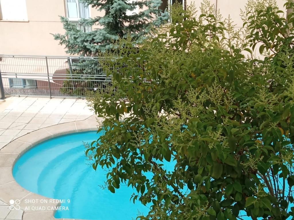 萨拉曼卡Sol de Poniente的蓝色游泳池旁的树