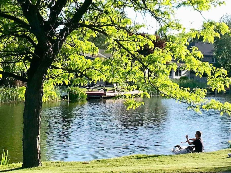 博伊西Lake Front Studio with Kayaks Bikes near Greenbelt的坐在湖边的草上的人和狗