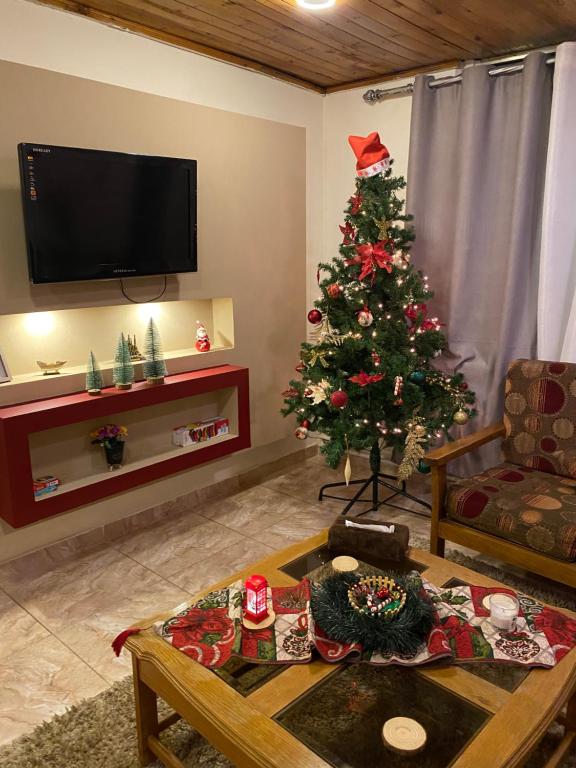 马达巴MiaDa’bia的客厅的角落处有圣诞树