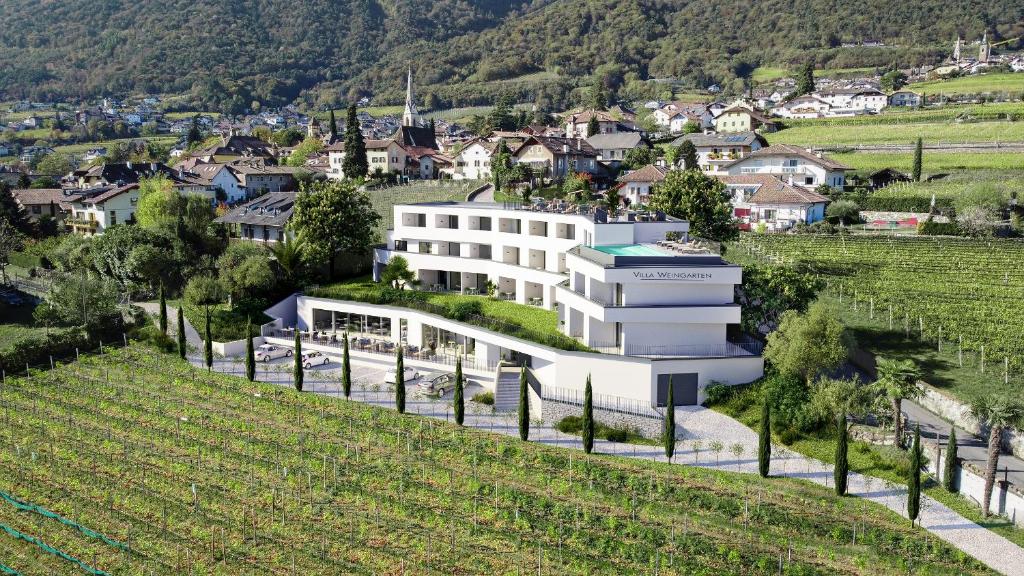 卡尔达罗Villa Weingarten的一座带葡萄园的小山上的房屋