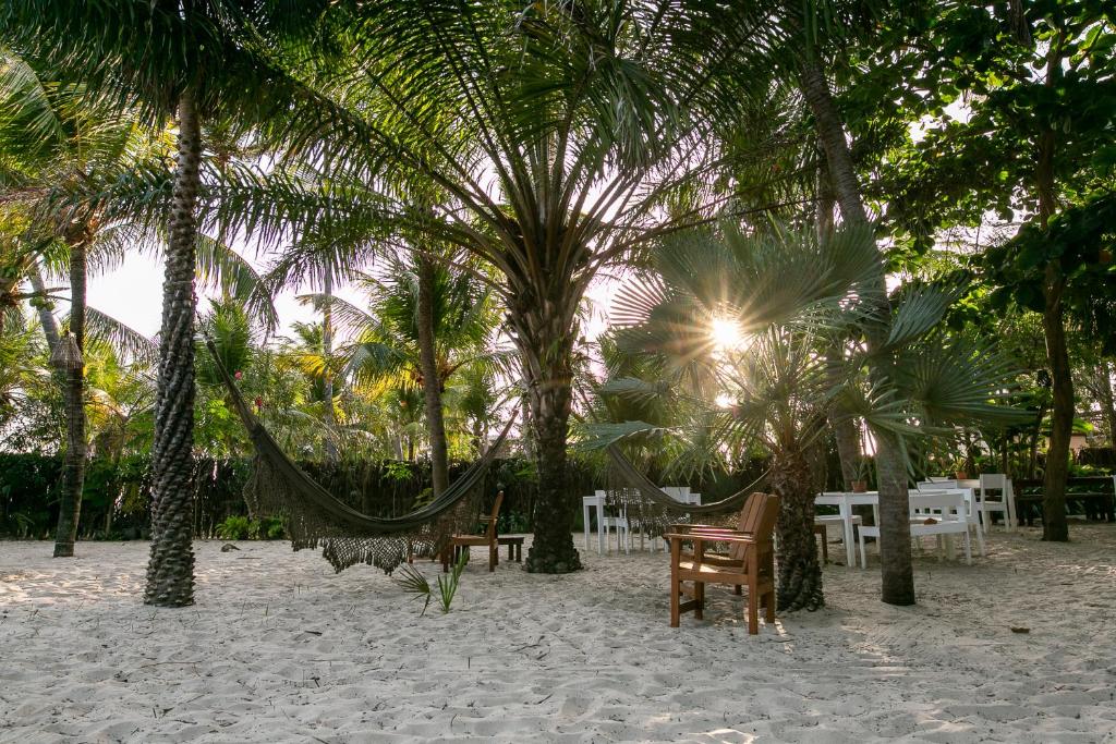 阿廷斯Muita Paz Rooms的海滩上设有吊床和桌子,棕榈树