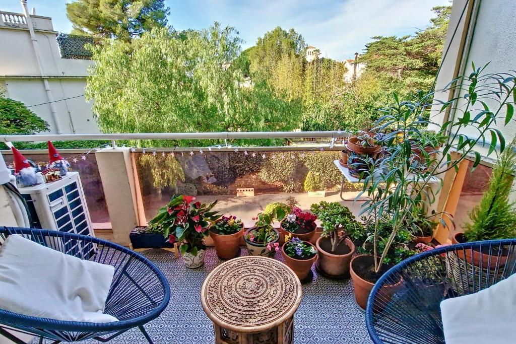 戛纳HENRI CAMILLE REAL ESTATE - ALEXANDRA - 2 bedrooms的种有盆栽植物的庭院
