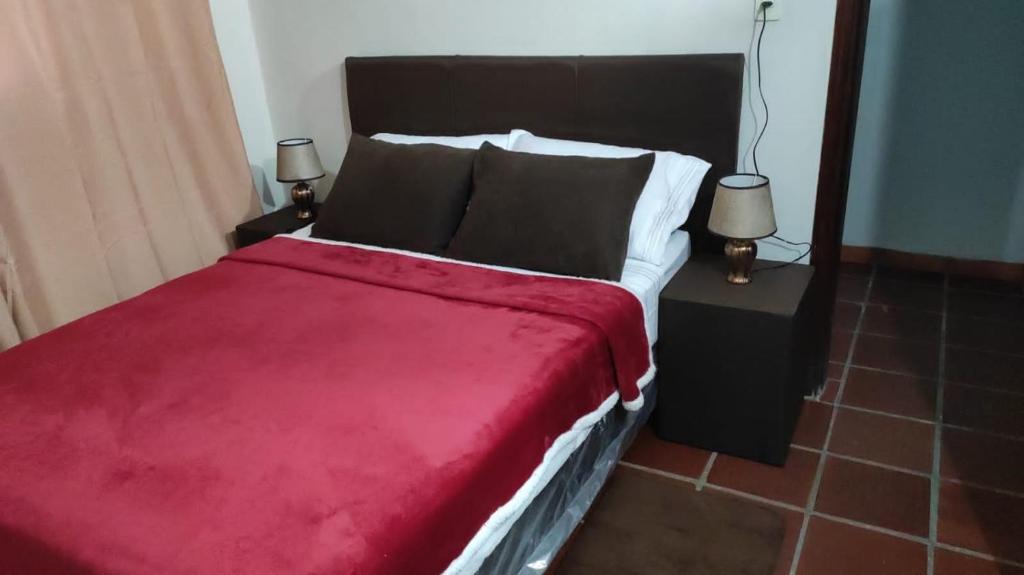 亚松森Pequeño departamento的一间卧室配有一张带红色毯子的大床