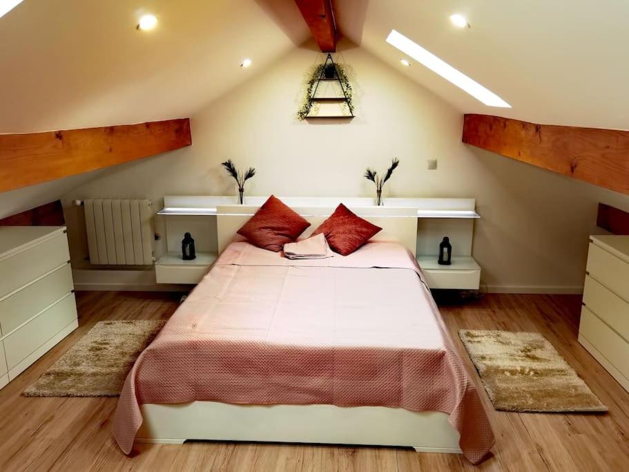 梅济约Chaleureuse Maisonnette Lyon的一间卧室配有一张带红色枕头的大床