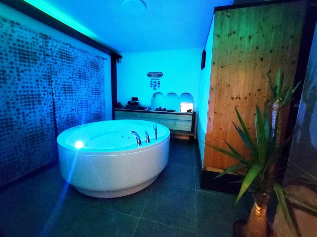 Slatina VarošWellness House Slatina Spa的带浴缸的浴室,拥有蓝色的灯光