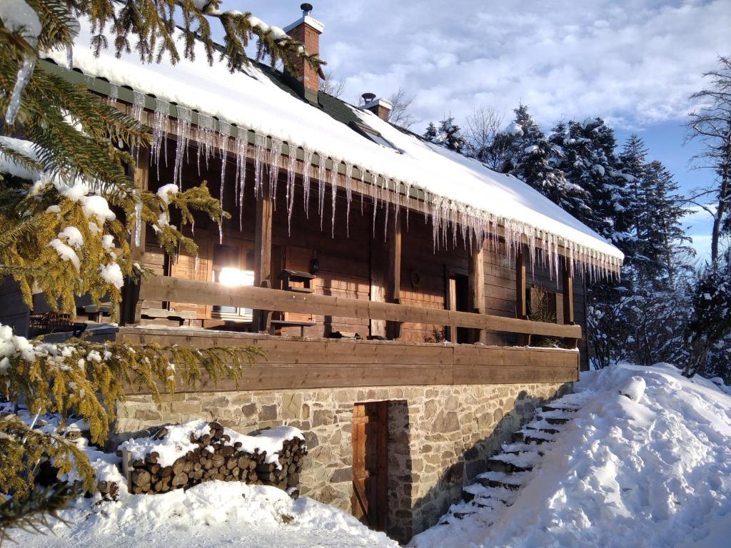 兹瓦尔东Chałupa 172的雪中冰雪覆盖的房子