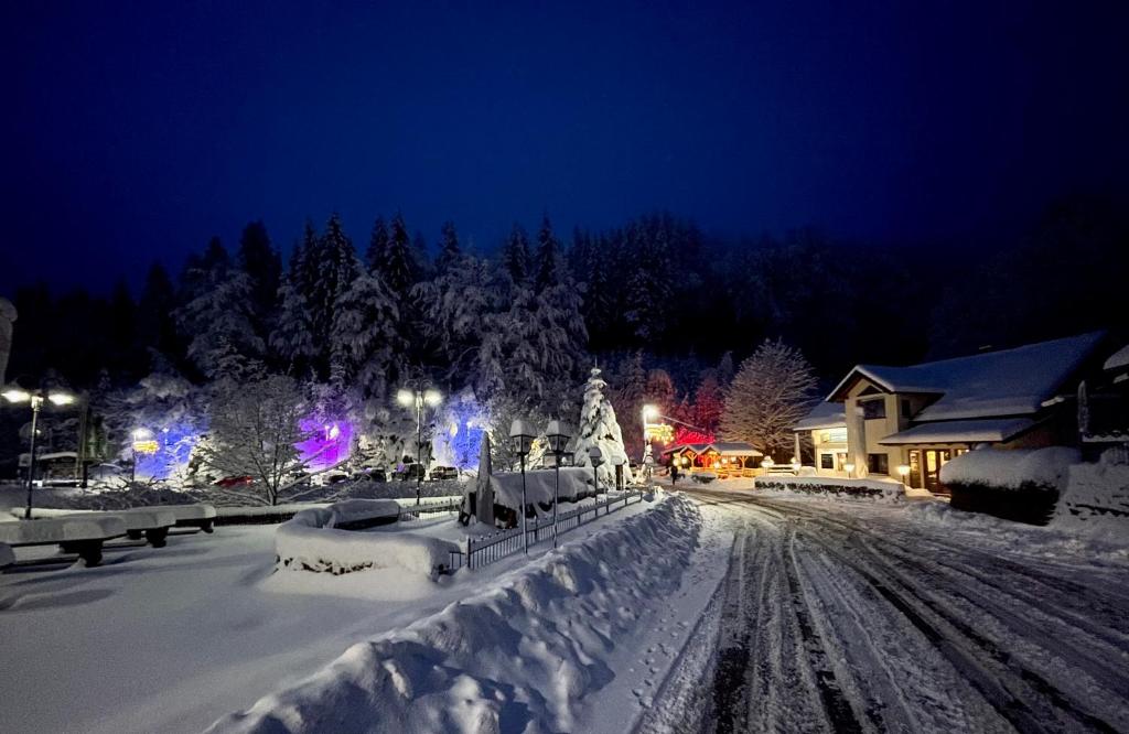 策拉-梅利斯斯登格鲁德酒店的一条晚上被雪覆盖的街道,有圣诞灯