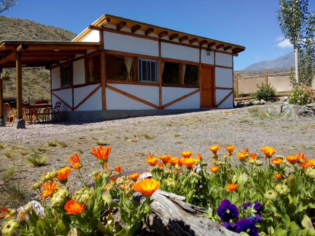 波特雷里约斯Camino & Piedra - Cabaña de Montaña的前面有鲜花的房子