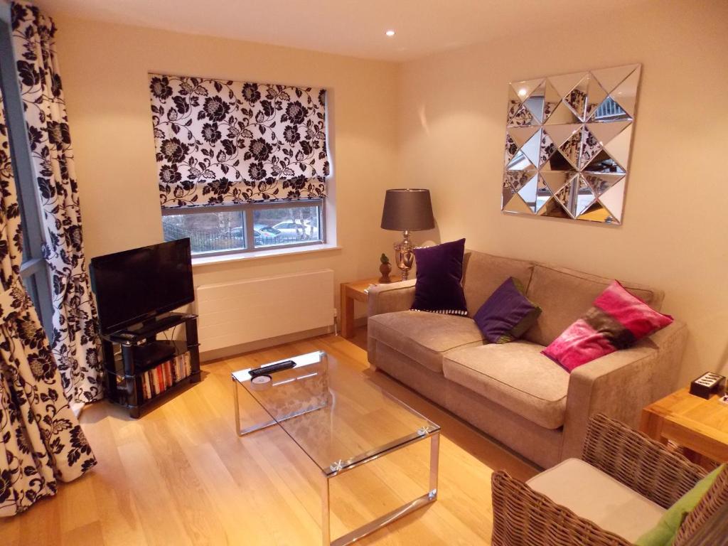 爱丁堡新城紫银公寓的带沙发和电视的客厅