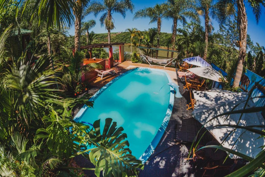 伊瓜苏港Cabañas Riberas del Paraná的享有棕榈树游泳池的顶部景致