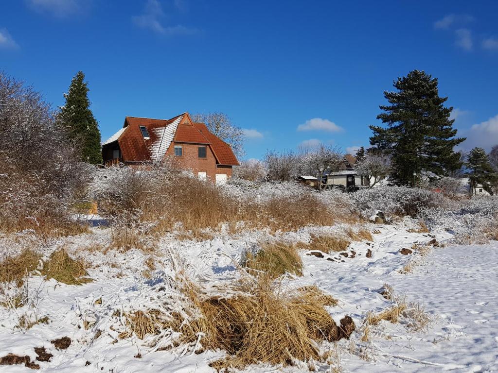 普特布斯"Blick auf Vilm", Neuendorf的田野上积雪的房子