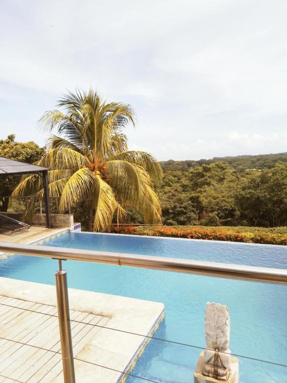 格拉纳达Finca Balcones de Granada的一座棕榈树环绕的游泳池