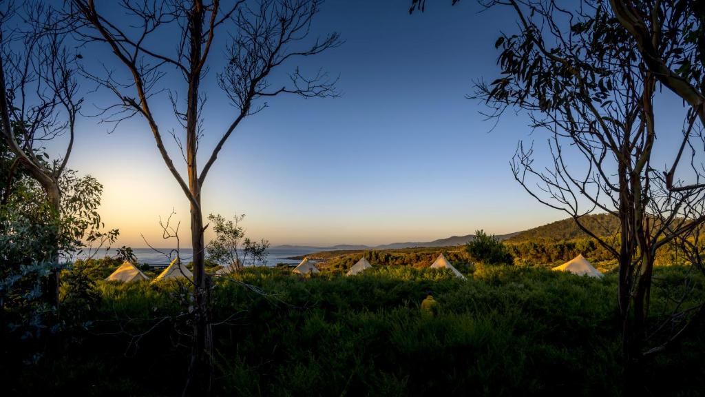 Four Mile CreekLittle Beach Resort的营地享有日落美景