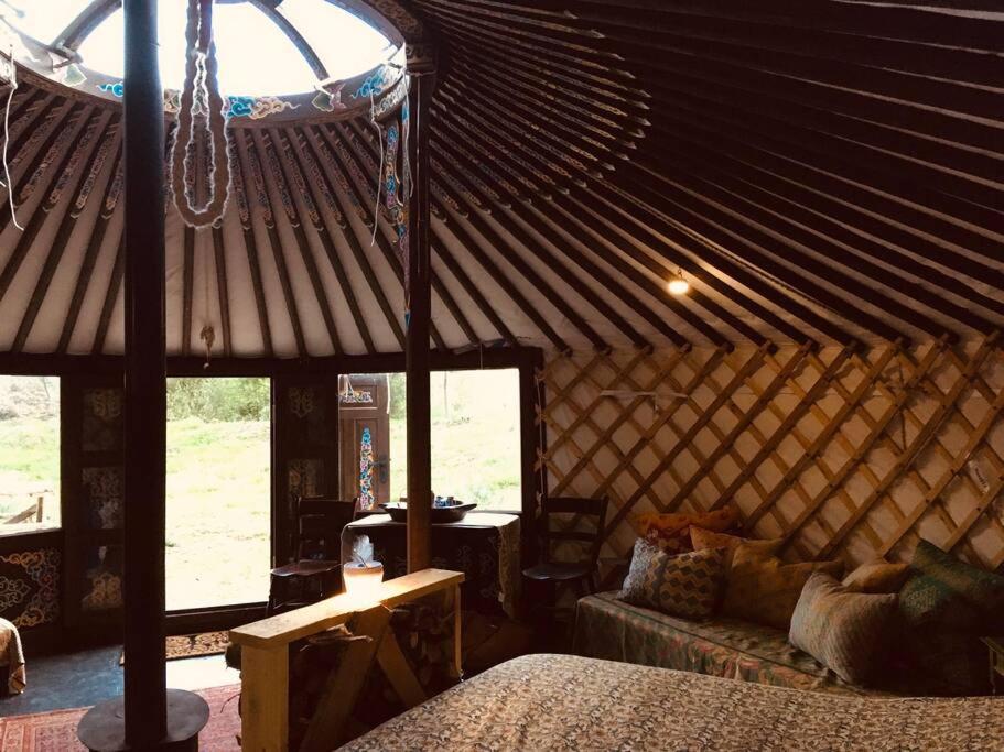 LlanbrynmairMongolian yurt sleeping 2+2 with outdoor space的蒙古包内带一张床和一张沙发的房间