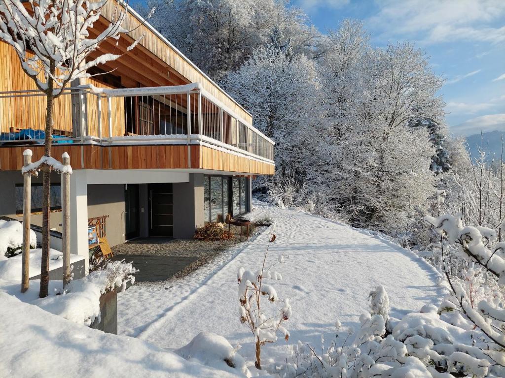 比尔的斯坦Casa Farnach的雪中的房子,有雪覆盖的树木
