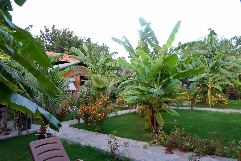 契拉勒Estelar Bungalow的一座种植了树木和植物的花园,一座建筑