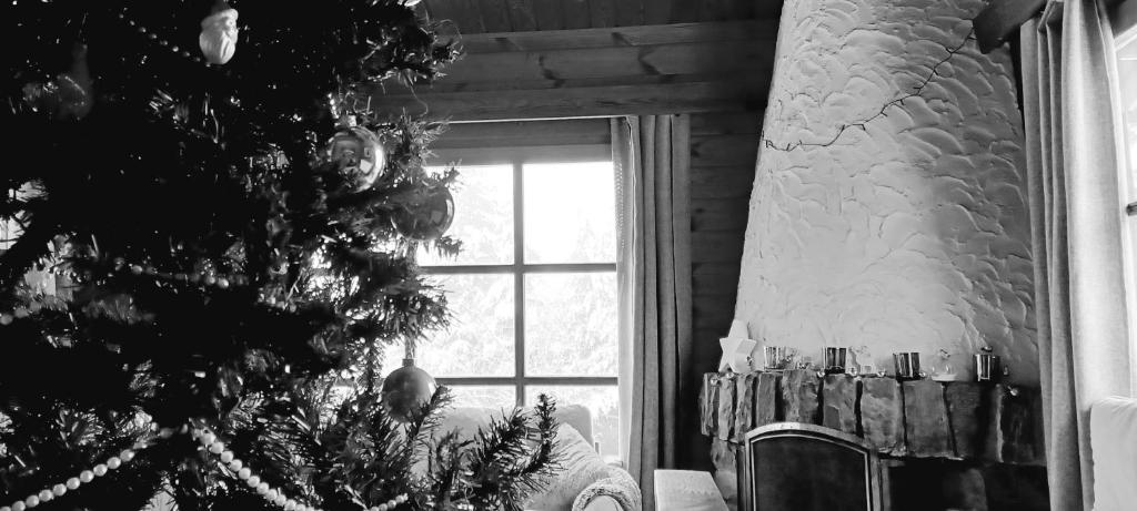 马尔梅迪Le Numéro 12 - Chalet à Francorchamps的窗户房间里一棵圣诞树